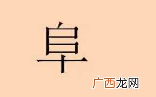 阜怎么读拼音 阜怎么读