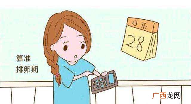 排卵期是什么意思举个例子 排卵期是什么意思