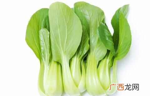 小白菜是什么意思 小白菜是什么