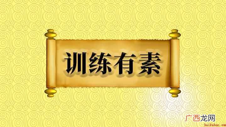 成语【训练有素】的全部内容 训练有素怎么理解