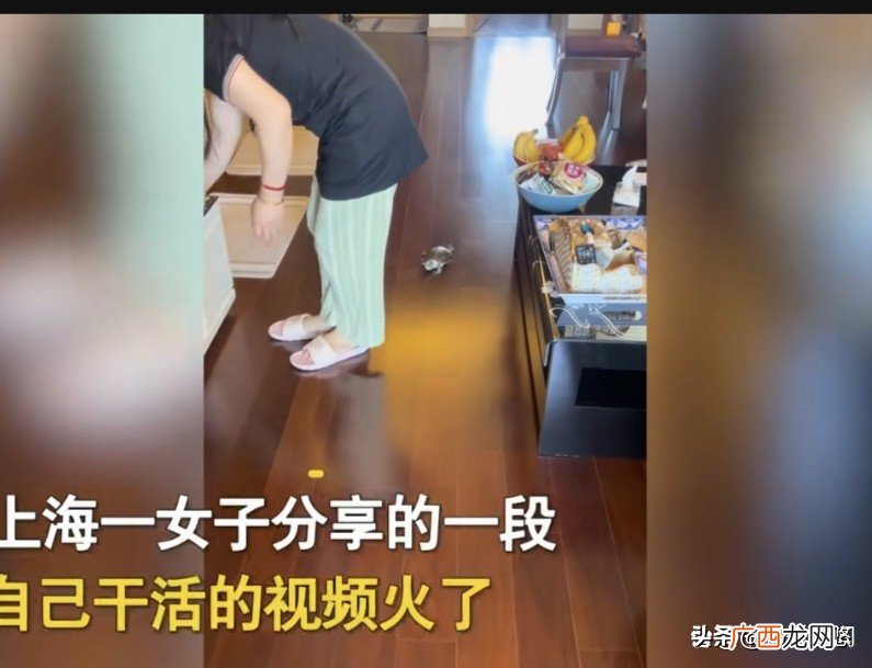 乌龟盯着主人看是什么意思 乌龟盯着主人看表示什么