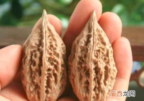 枣核的功效与作用坏处 枣核的功效与作用