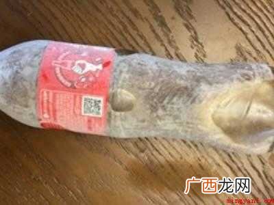 可乐摇一摇放冰箱冷冻变成冰沙