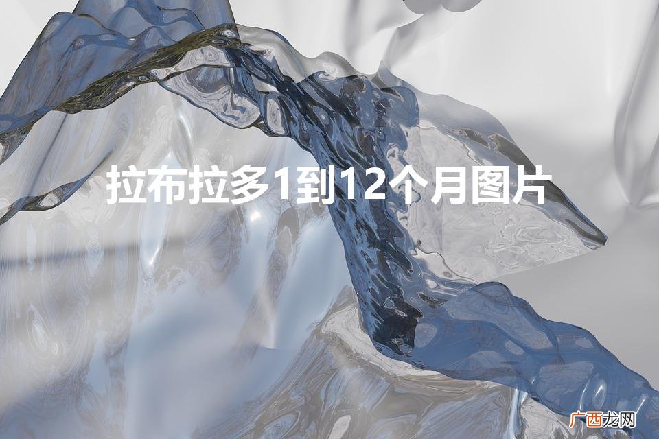 拉布拉多1到12个月图片（拉布拉多各个月成长图表)