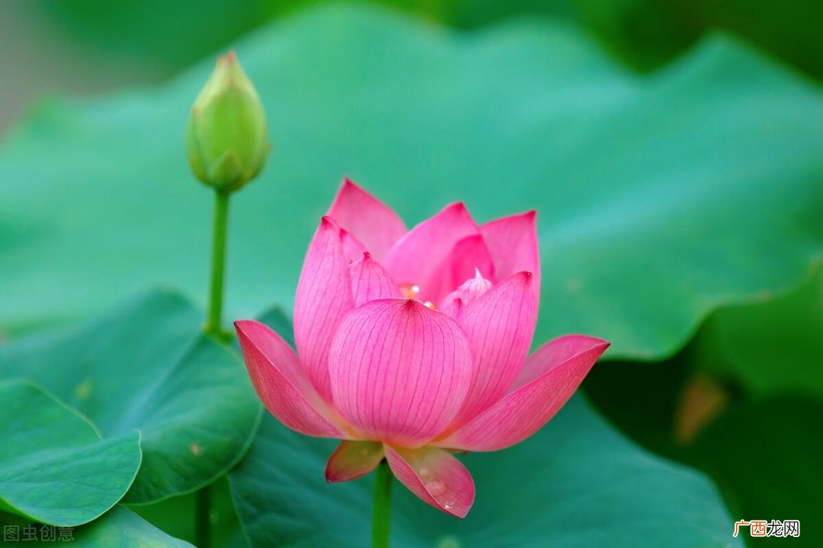 总有一人是你命中注定的情劫 所谓的情劫是什么意思