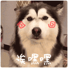 忠犬排行榜出炉：这7种狗榜上有名 什么狗对主人最忠诚
