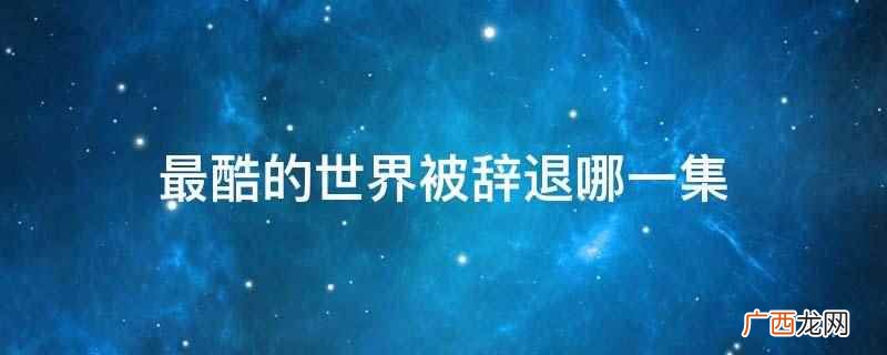 最酷的世界朱晓雯被辞退第四集 最酷的世界被辞退哪一集