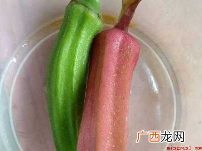 秋葵怎么处理的具体操作步骤 秋葵怎么处理