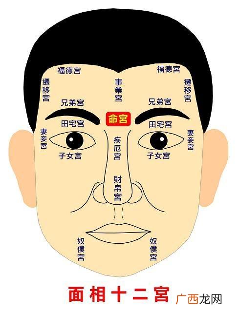 面相十二宫位置 面相十二宫图解讲解