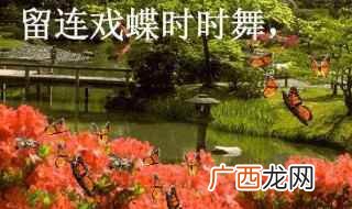 留连戏蝶时时舞的下一句 出自于哪里