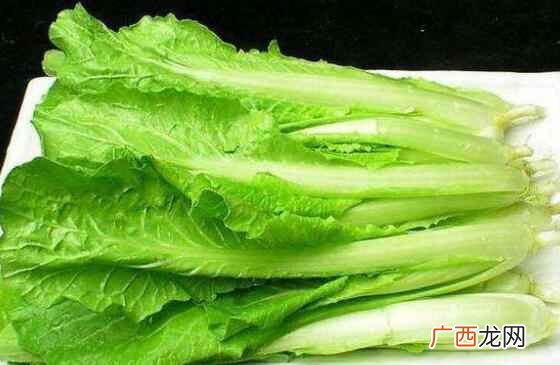 小白菜的品种有哪些 小白菜的品种