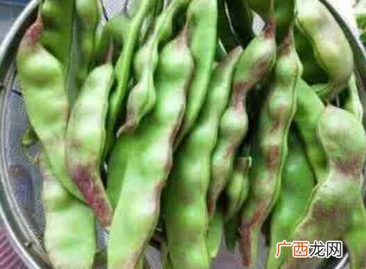 豆角是可以美容护肤的一种食材 豆角的功效与作用