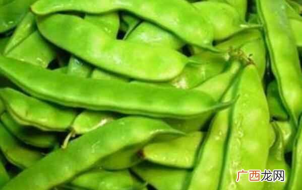 豆角的热量是多少大卡 豆角的热量
