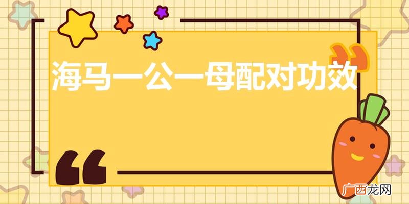 海马是公的好母的好还是配对比较好 海马一公一母配对功效