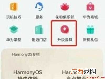 p30pro如何升级鸿蒙的具体操作步骤 p30pro如何升级鸿蒙