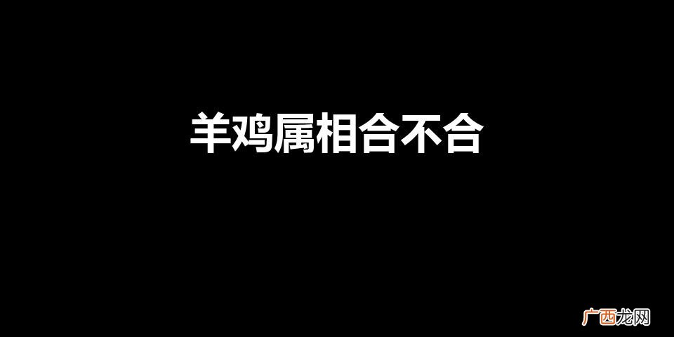 男91年羊和93年女鸡可婚配吗 羊鸡属相合不合