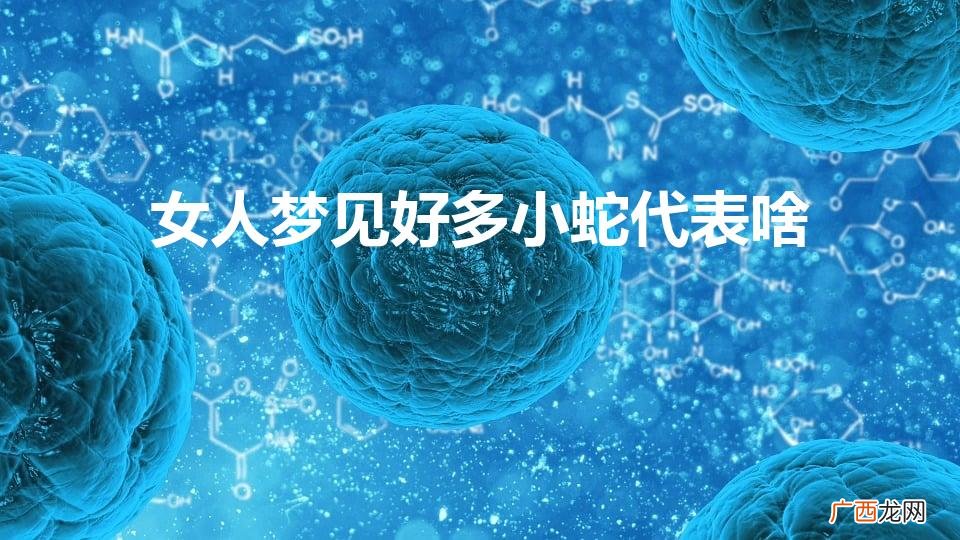 女人梦见好多小蛇代表啥