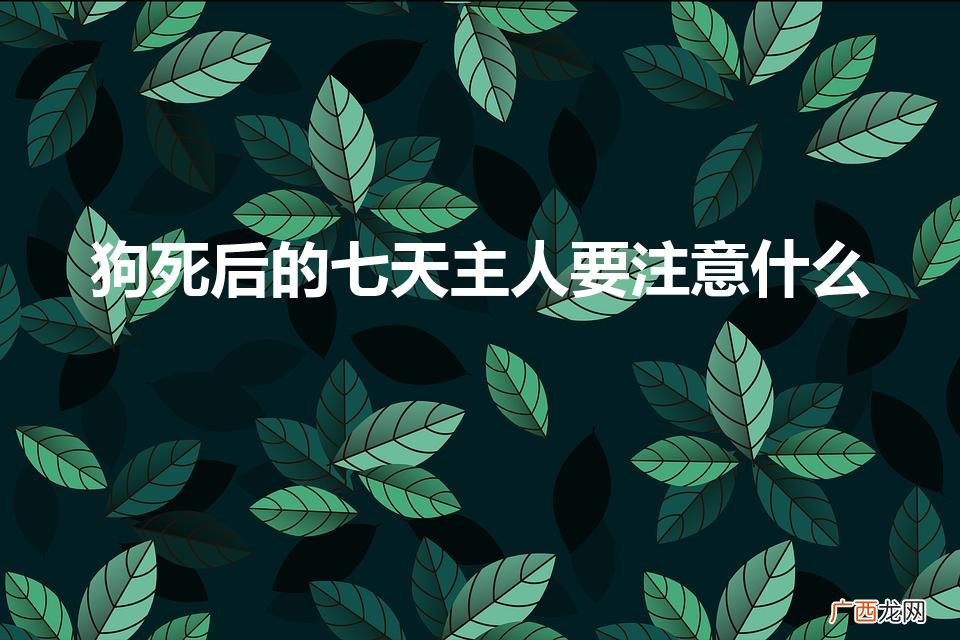 狗狗头七需要注意什么 狗死后的七天主人要注意什么