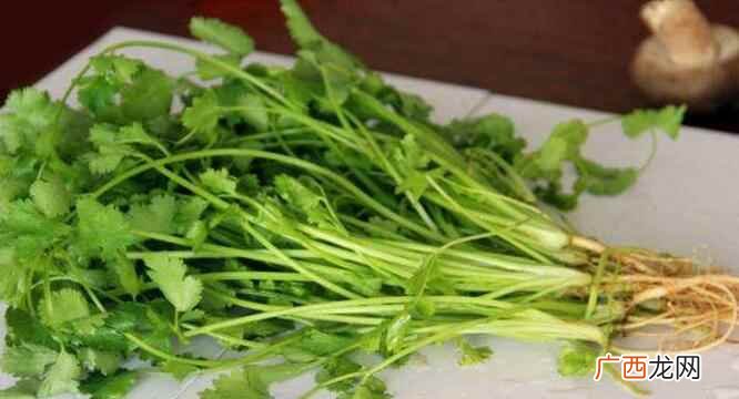 芫荽和香菜区别 香菜是芫荽吗