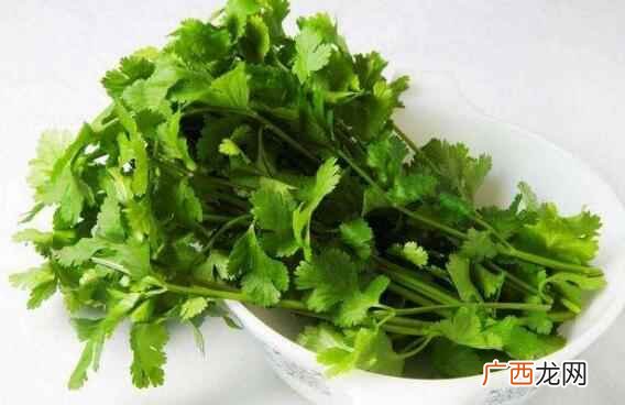 香菜是发物吗什么人不能吃 香菜是发物吗