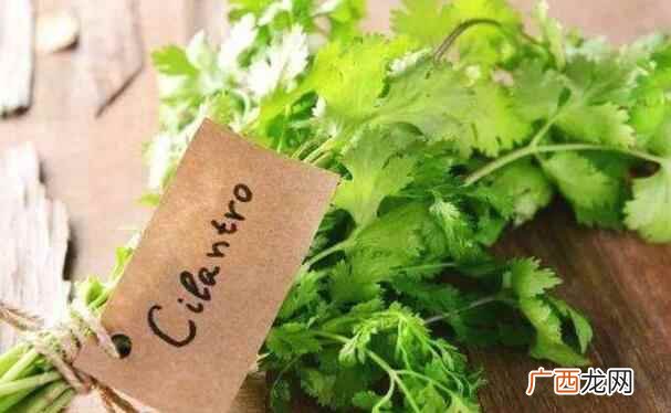 吃香菜能治阳痿吗 吃香菜可以补肾的吗