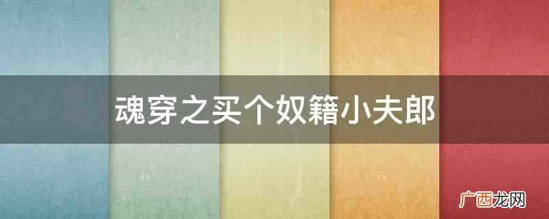 魂穿之买个奴籍小夫郎是指小说 魂穿之买个奴籍小夫郎