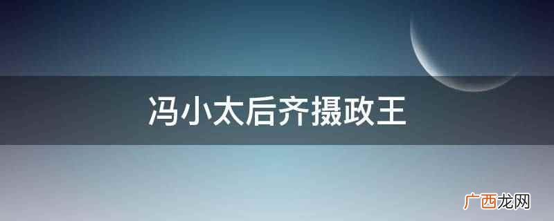 冯小太后齐摄政王是指小说 冯小太后齐摄政王