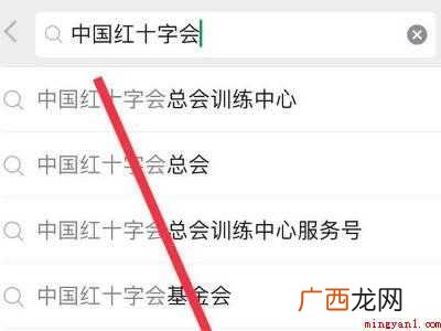 演示机型:Iphone 12 用微信怎么向红十字会捐款