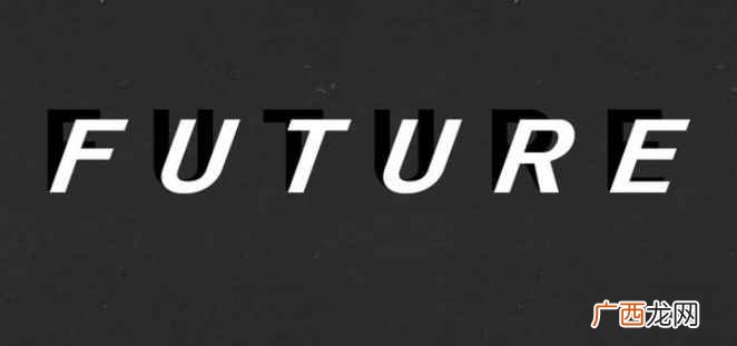 future英语单词用法 future是什么意思