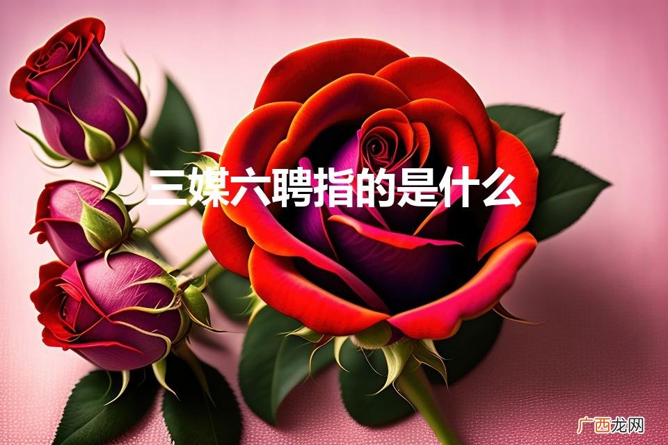 三媒六聘指的是什么（三媒六聘娶的是完璧之身原句)