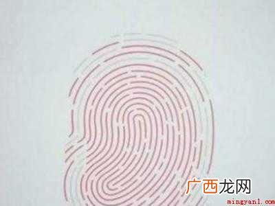 苹果xr如何录指纹的具体操作步骤 苹果xr如何录指纹