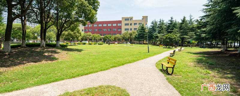 江苏大学京江学院2019年招生简章 江苏大学在哪里