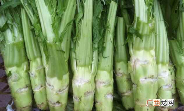 莴笋是哪个季节应季菜 莴笋是什么季节的菜