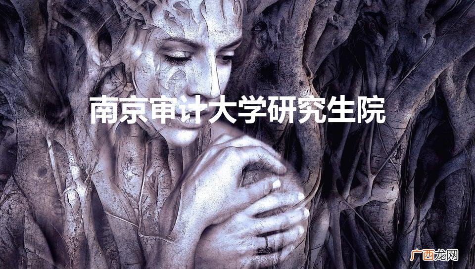 南京审计大学研究生院（南京审计大学研究生学费)
