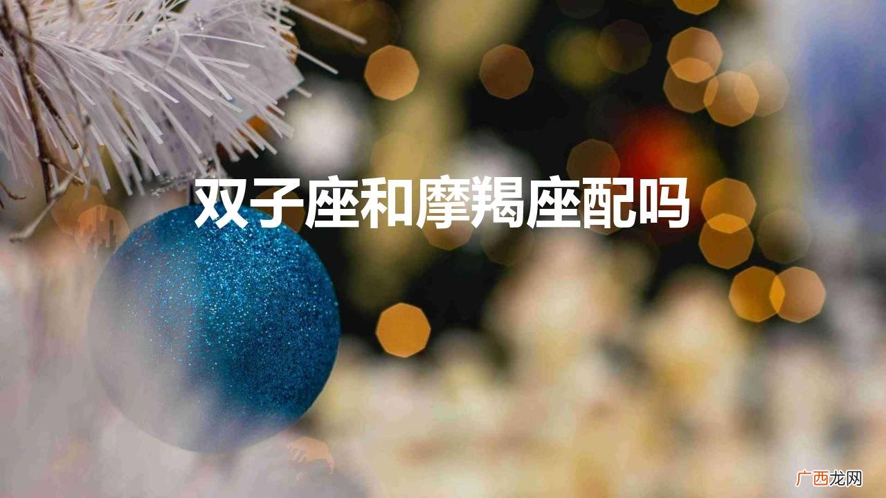 双子座和摩羯座配吗巨蟹座哪个好 双子座和摩羯座配吗