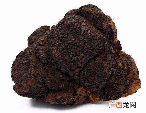 桦树茸价格多少钱一斤 桦树茸有造假的吗