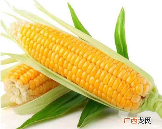 鲜玉米煮多长时间能熟透 鲜玉米煮多长时间能熟