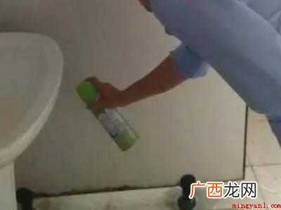 榆蓝叶甲虫进屋怎么消灭的具体操作步骤 榆蓝叶甲虫进屋怎么消灭