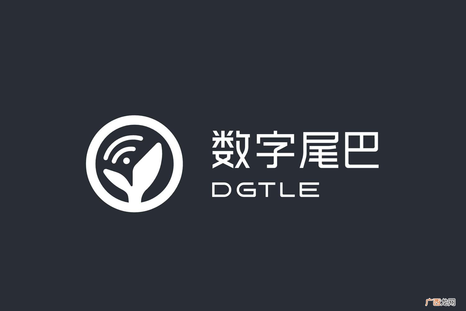 数字尾巴是一个致力于分享美好数字生活体验 数字尾巴是什么
