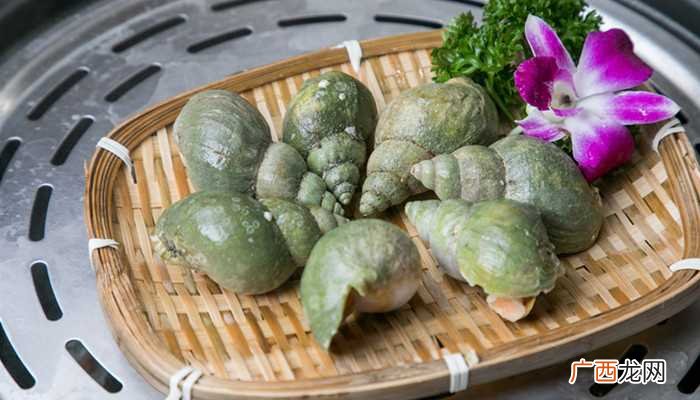 螺的种类和名称图片 螺的种类