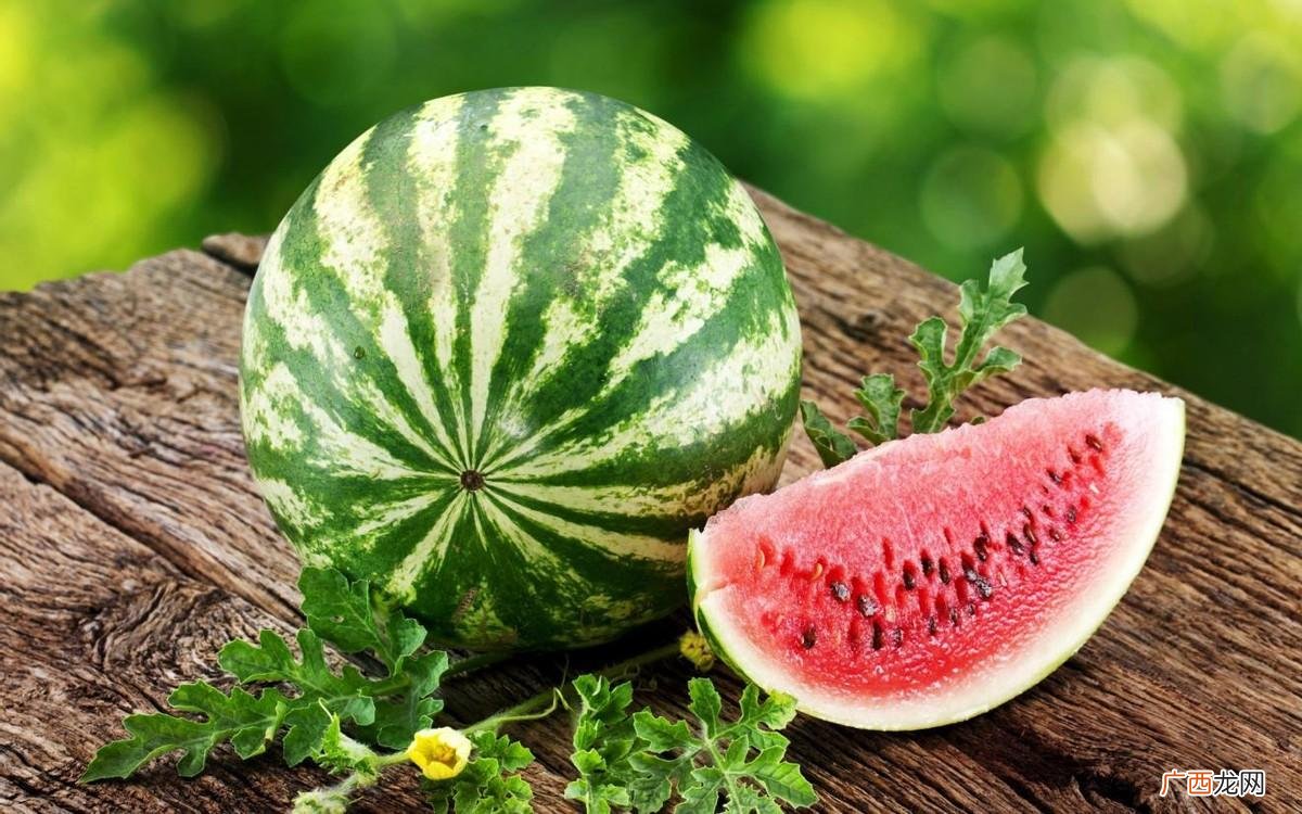 消暑除湿的5种食物分享 湿气重的人能吃牛油果吗
