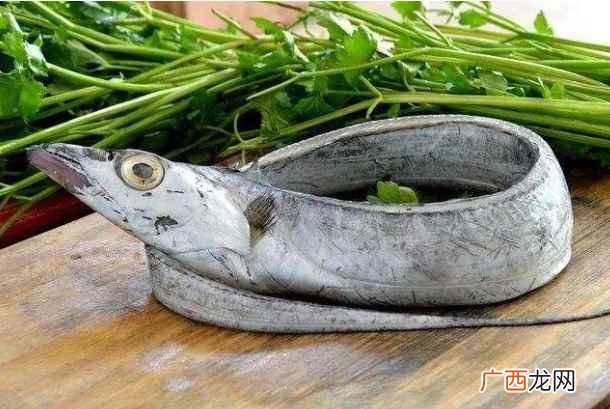 带鱼和刀鱼是不是一种鱼类 带鱼和刀鱼是不是一种鱼