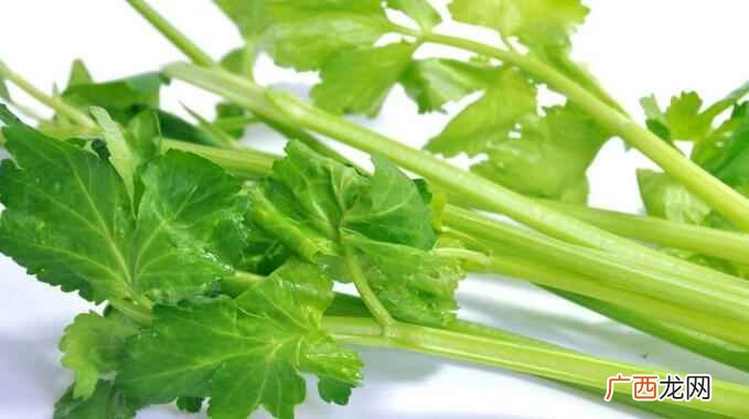 芹菜到底是不是感光性食物 芹菜是感光性食物吗