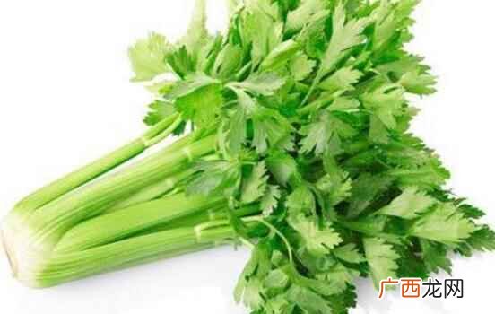 芹菜是十字花科的蔬菜吗 芹菜是什么季节的蔬菜