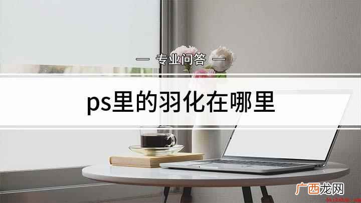 Adobe Photoshop CC 2019使用PS处理、 ps里的羽化在哪里
