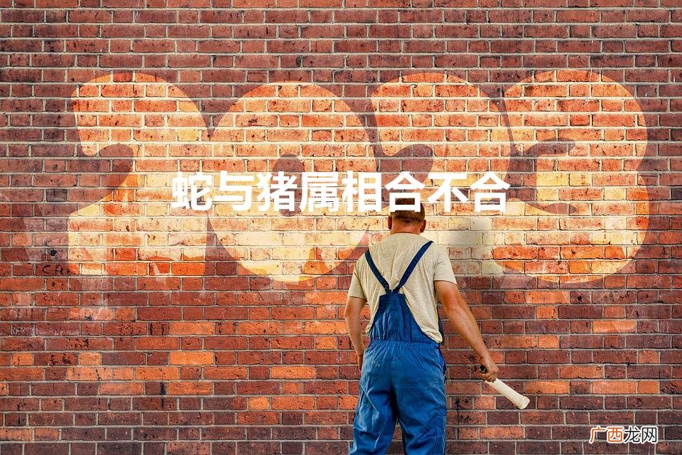 蛇与猪属相合不合事业 蛇与猪属相合不合