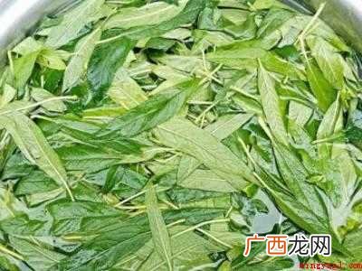 鲜芝麻叶怎么处理的具体操作步骤 鲜芝麻叶怎么处理