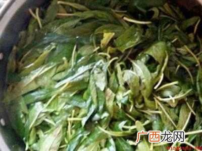 鲜芝麻叶怎么处理的具体操作步骤 鲜芝麻叶怎么处理