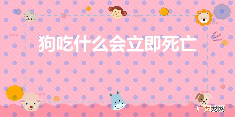 狗吃什么东西会很快死亡 狗吃什么会立即死亡