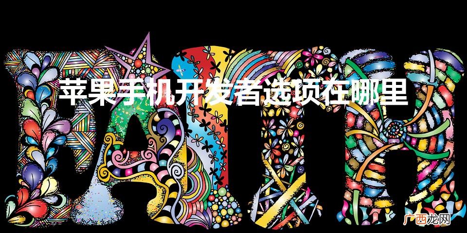 苹果手机开发者选项在哪里（苹果13怎么打开开发者模式)